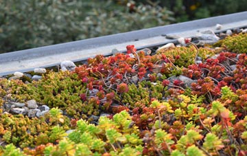 the cost of Crossbush green roof installation