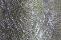 Crossbush fibreglass roof work