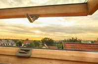 rated Crossbush roof window companies